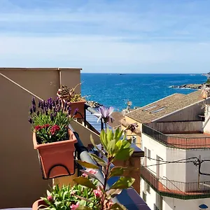 Medium Montecarlo Palafrugell